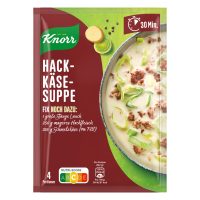 Knorr Seasoning Mix for Ground Meat-Cheese-Stew with Leek 14/2.05oz